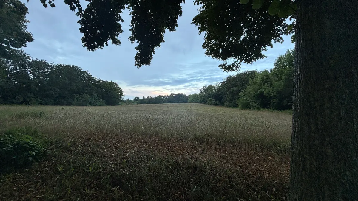 Noch ist freie Sicht: Auf dieser bislang landwirtschaftlichen Fläche am Langen Grund sollen rund 40 Wohnhäuser entstehen.