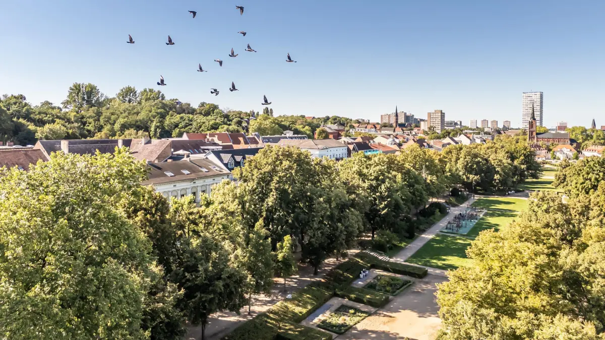 Idyllischer Blick über Frankfurt. Frankfurt wird von Besucher oft als Grüne Stadt bezeichnet und der Eindruck täuscht nicht.
