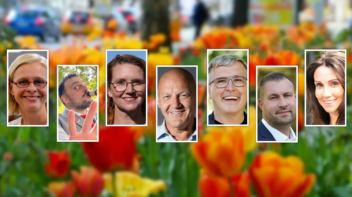 Bürgermeisterwahl 2025 in Oranienburg, Wahl am 28. September. Collage von Marco Winkler. Kandidaten mit Fotonachweis: Alexander Laesicke (Foto: Steffi Rose), Anja Waschkau (Foto: Daniel Friese), Heiko Zillmann (Foto: Mountain Lights UG), Jennifer Collin-Feeder (Foto: Martin Werder), Rick Grothe (Foto: Rick Grothe), Sascha Mielke (Foto: Sascha Mielke), Stefanie Rose (Foto: Andrea Johlige)