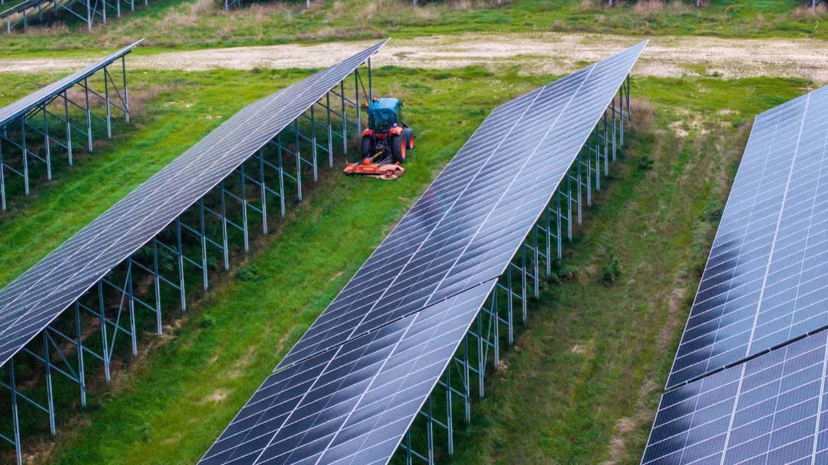 Eröffnung des größten deutschen „Agri-PV-Parks“: 10.09.2025, Mecklenburg-Vorpommern, Tützpatz: Solarmodule stehen in der größten Agri-PV-Anlage ihrer Art in Deutschland. (Luftaufnahme mit einer Drohne) Die Module können bei landwirtschaftlichen Arbeiten hochgeklappt werden. Das Energieunternehmen Vattenfall hat die Anlage offiziell in Betrieb genommen. Auf 93 Hektar sollen demnach Stromerzeugung sowie Ackerbau und Tierhaltung erfolgen. Die Leistung wird mit bis zu 76 Megawatt angegeben. Foto: Jens Büttner/dpa +++ dpa-Bildfunk +++