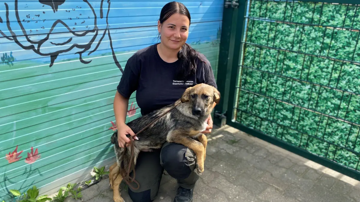 Wartet auf ein neues Zuhause: der halbjährige Hund Roger. Tierheimleiterin Alina Thiele hält den halbjährigen Rüden fest.
