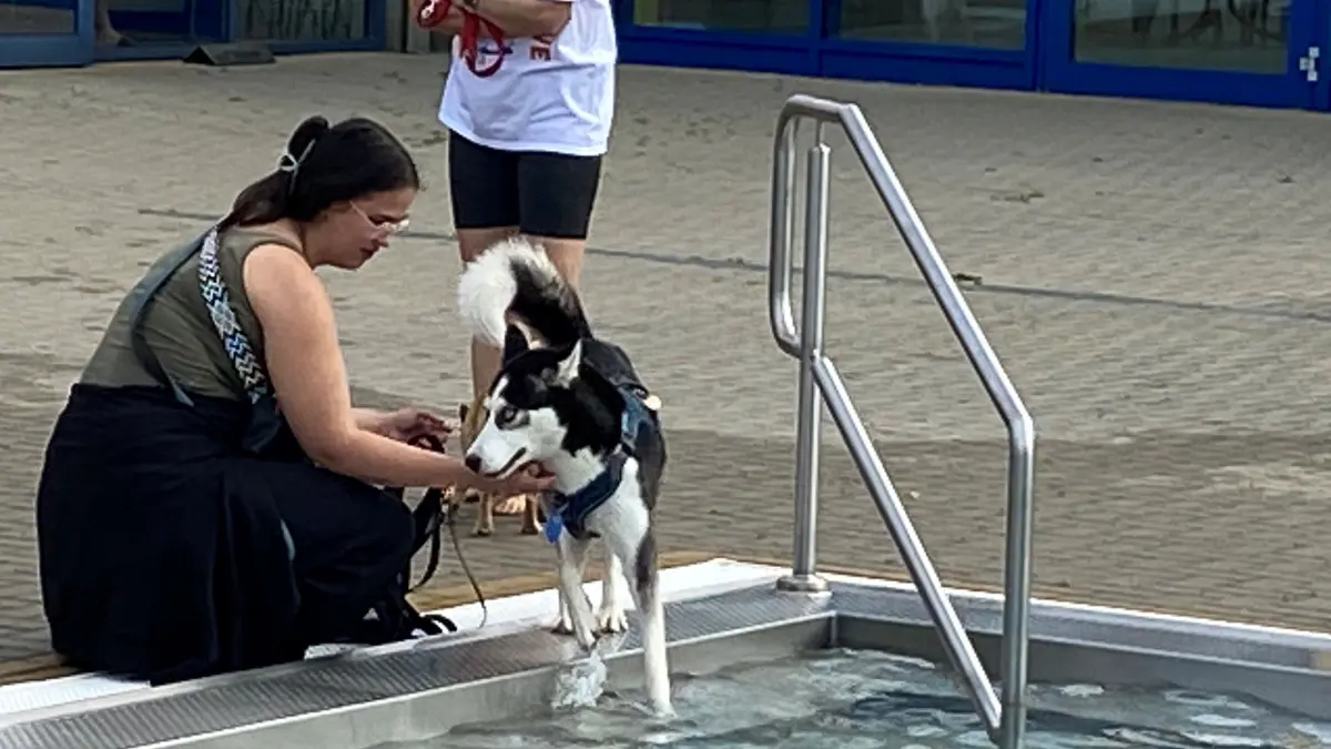 Wagt sich zunächst nicht so richtig ins Wasser: die junge Husky-Dame Shira. Halterin Jasmin Wildner redet ihr erst einmal gut zu.