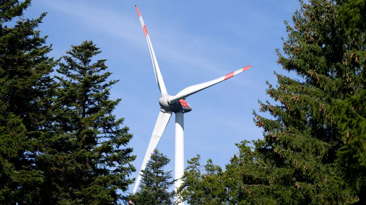 03.09.2025, Bayern, Berg: Ein Windrad ist während der Vorstellung von einem Pilotprojekt für die Begrünung von Windenergiestandorten zu sehen. In dem Projekt an zwei Windenergieanlagen soll die Möglichkeit zur Begrünung und ökologischen Aufwertung von Windenergiestandorten im Wald gezeigt werden. Foto: Sven Hoppe/dpa +++ dpa-Bildfunk +++