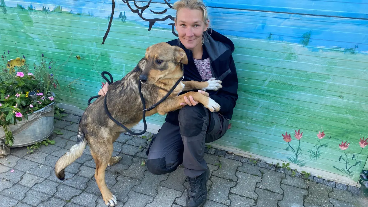 Lieb, verschmust und ruhig: Tierheim-Mitarbeiterin Kathleen Bonack mag den sechs Monate alten Schäferhundmischling Max sehr. Da sie bereits zwei Hunde zu Hause hat, benötigt der Rüde ein anderes neues Zuhause.