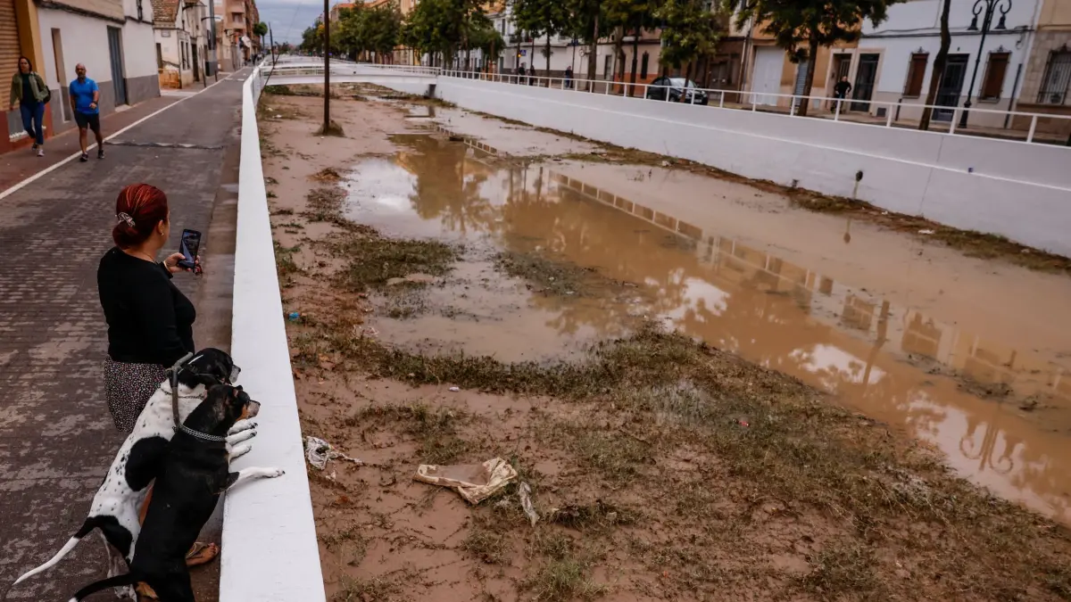 Hochwasser nach Starkregen in Spanien: 29.09.2025, Spanien, Aldaia: Eine Frau und ihre beiden Hunde schauen in die Schlucht von La Saleta, nachdem sie übergelaufen ist. Die Schlucht von La Saleta in Aldaia ist am frühen Morgen auf Höhe des Bonaire-Damms übergelaufen, als Folge der starken Regenfälle, die die Provinz Valencia und Castellón heimgesucht haben. Foto: Rober Solsona/EUROPA PRESS/dpa +++ dpa-Bildfunk +++