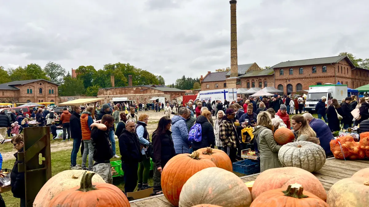 Kürbisfest der Bernauer Braugenossenschaft auf dem Gutshof Börnicke, Oktober 2024