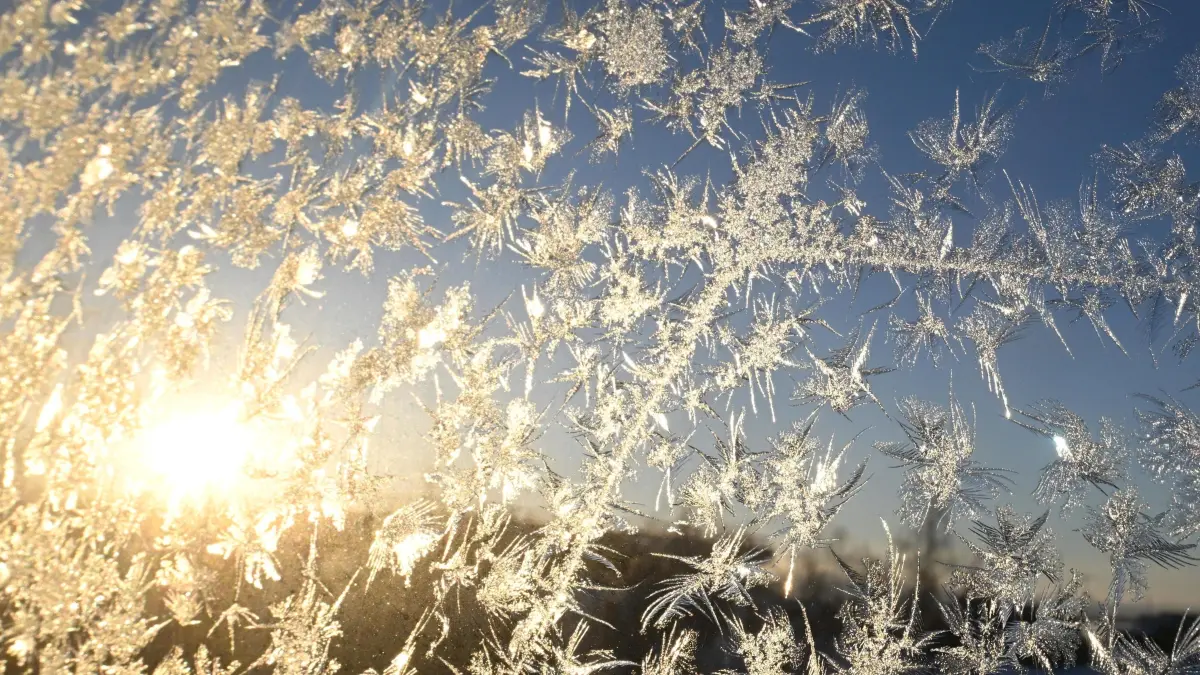 Sonnenlicht fällt auf Eiskristalle, die sich an einer Fensterscheibe gebildet haben.