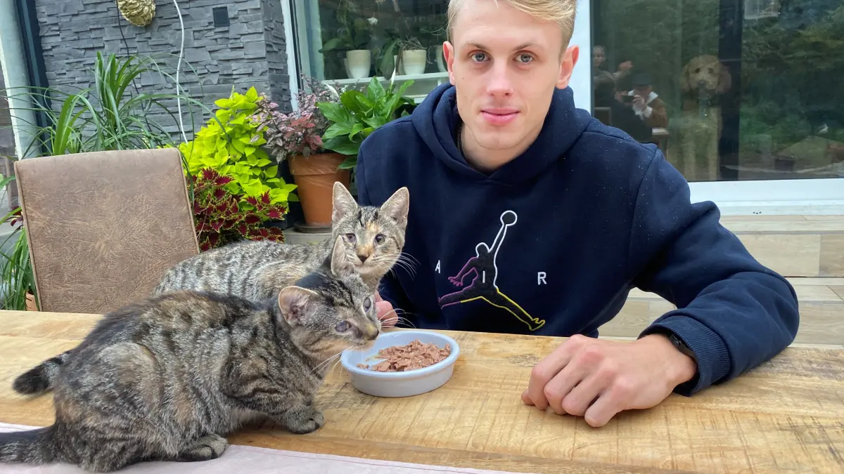 Sollen vermittelt werden: die etwa fünf Monate alten Katzen Tiffi und Judy. Gerade hat ihnen Tierheim-Mitarbeiter Maksymilian Langer etwas Futter hingestellt.