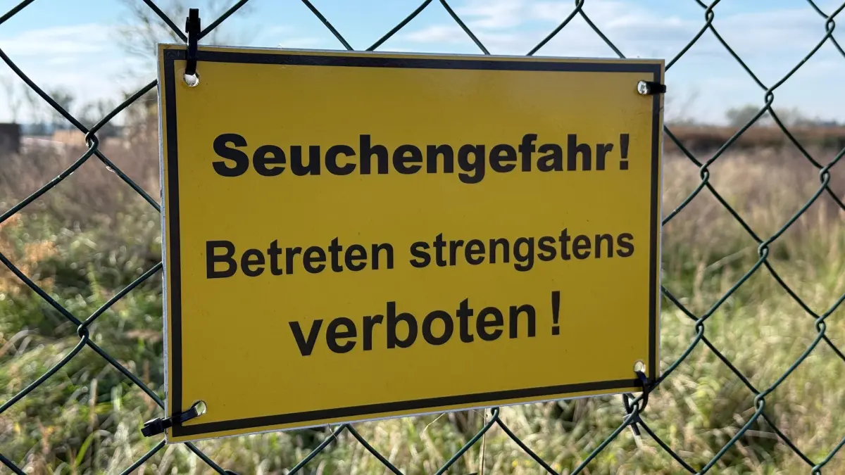 Geflügelpest - Vogelgrippe - viele Fälle in Ostprignitz-Ruppin