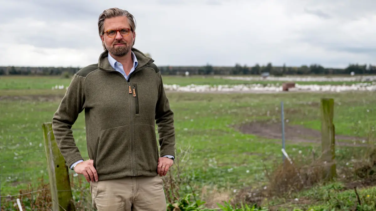 Malte Voigts, Betriebsleiter Spargelhof Kremmen, steht vor dem Gehege seiner Gänse. In Geflügelbetrieben aber auch bei Kranichen ist die Infektionskrankheit Geflügelpest nachgewiesen worden. +++ dpa-Bildfunk +++
