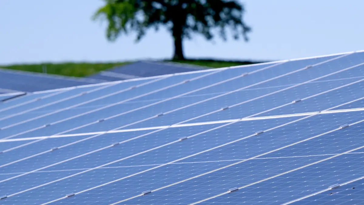 Die Sonne scheint auf einen Solarpark (Symbolbild) (zu dpa: «Solarpark Ohrdruf versorgt Haushalte mit Strom») +++ dpa-Bildfunk +++