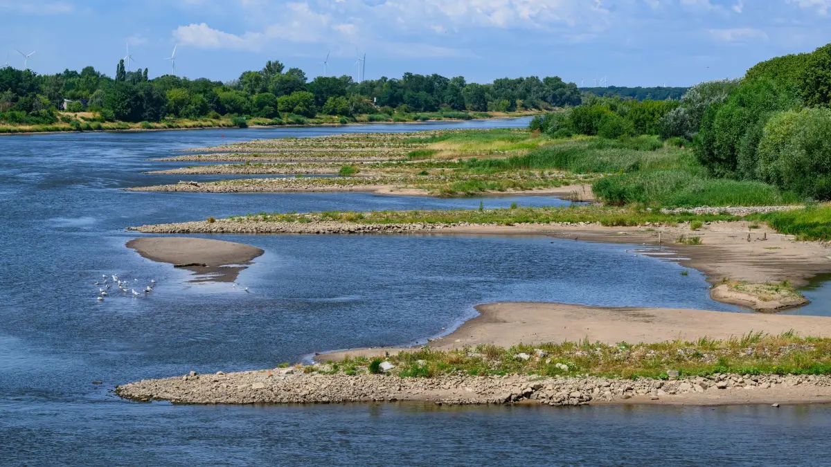 Niedrigwasser im Grenzfluss Oder: ARCHIV - 10.07.2025, Brandenburg, Frankfurt (Oder): Niedrigwasser im deutsch-polnischen Grenzfluss Oder. (zu dpa: «EU-Länder wollen 90 Prozent weniger Emissionen bis 2040») Foto: Patrick Pleul/dpa +++ dpa-Bildfunk +++