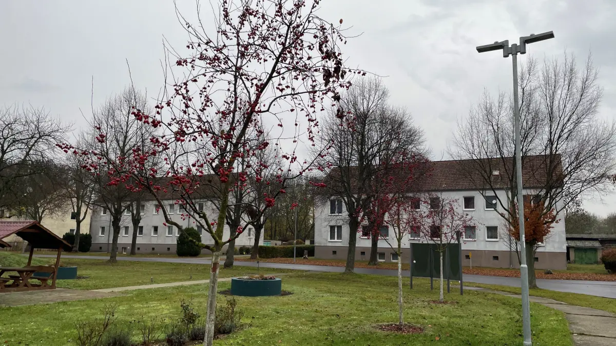 Wosella-Wohnhäuser in Sachsendorf: Mit dem Geld aus den Mieteinnahmen der Gesellschaft wurden dieses Jahr dort die Wohnbedingungen verbessert. Drei Treppenaufgänge wurde saniert.