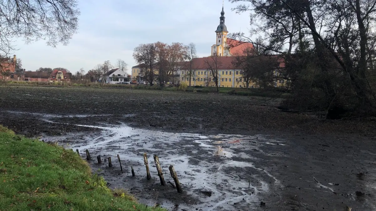 Der Klosterteich Neuzelle: Aktuell herrscht dort Ebbe.