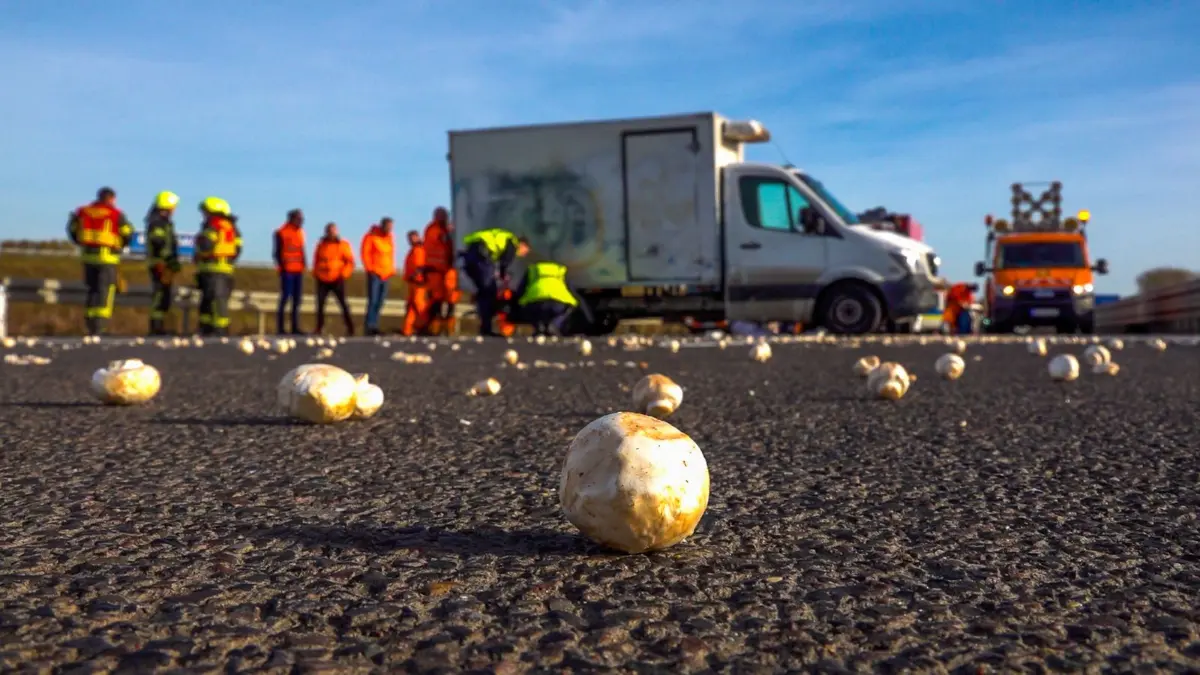 Auf der A10 verunglückte am Donnerstag (13. November) ein mit Pilzen beladener Kleintransporter.