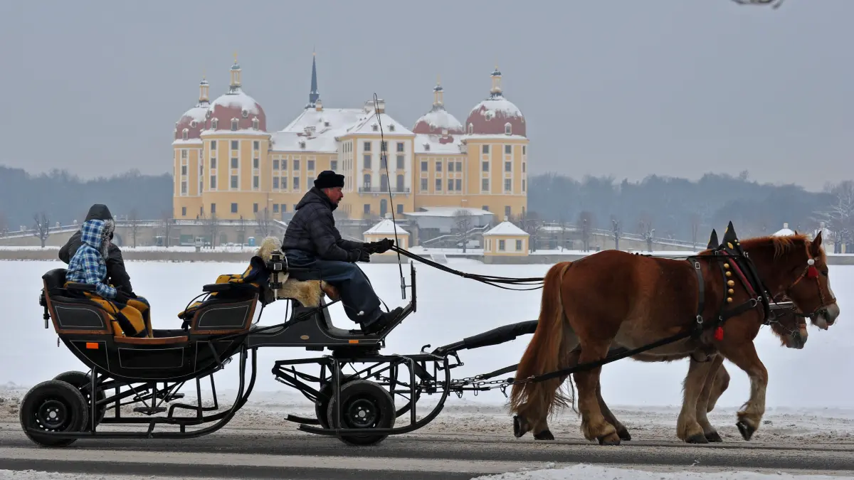 Ein Pferdeschlitten mit Rädern fährt am 22.01.2013 in Moritzburg (Sachsen) am einstigen Jagdschloss der Wettiner und dem zugefrorenen Schlossteich vorbei. Foto: Matthias Hiekel/dpa ++ +++ dpa-Bildfunk +++