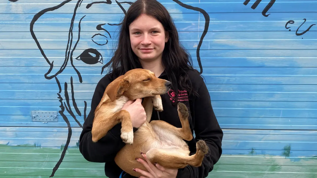 Ist lieb und sucht die menschliche Nähe: der einjährige Mischlingshund Sina. Die ehrenamtliche Tierheimmitarbeiterin Aimee Pfeiffer zeigt die zu vermittelnde Hündin.