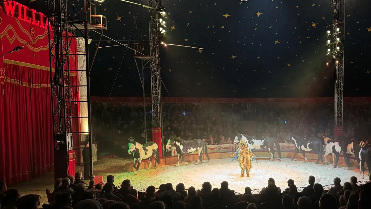 Willes Weihnachtsshows: Die Pferdedressuren von Roberto Wille sind bei den Zuschauern immer sehr beliebt.