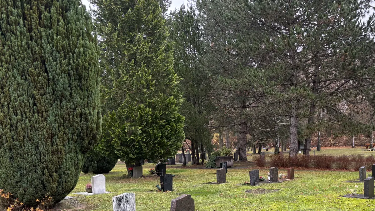 Die Zahl der Beerdigungen auf dem Inselfriedhof in Eisenhüttenstadt sinkt. Die Stadt will gegensteuern. Was ist geplant?