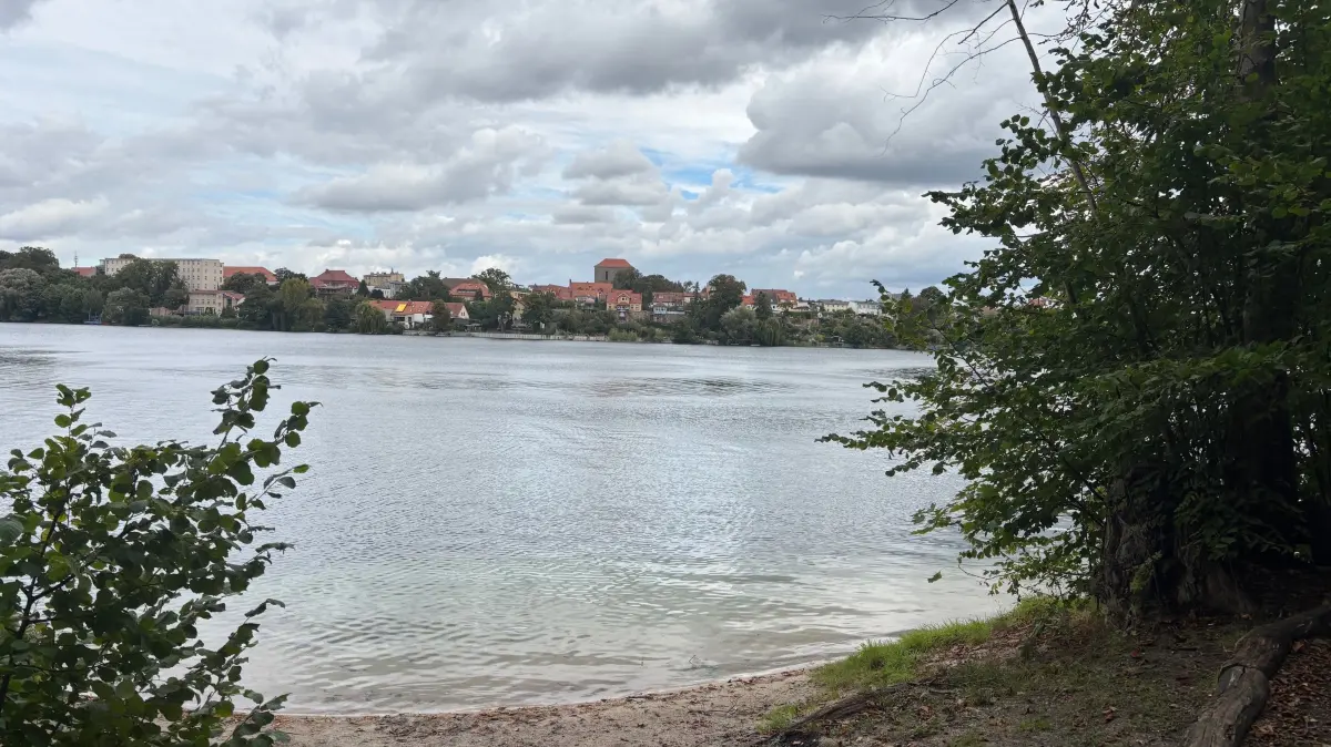 Die Rettung des Straussees in Strausberg ist eine der großen Herausforderungen in der Stadt. Unter den Beteiligten, die sich für den Erhalt einsetzen, gibt es nun auch noch Streit.