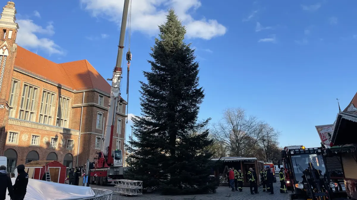 Weihnachtsbaum 18 Meter Frankfurt (Oder)