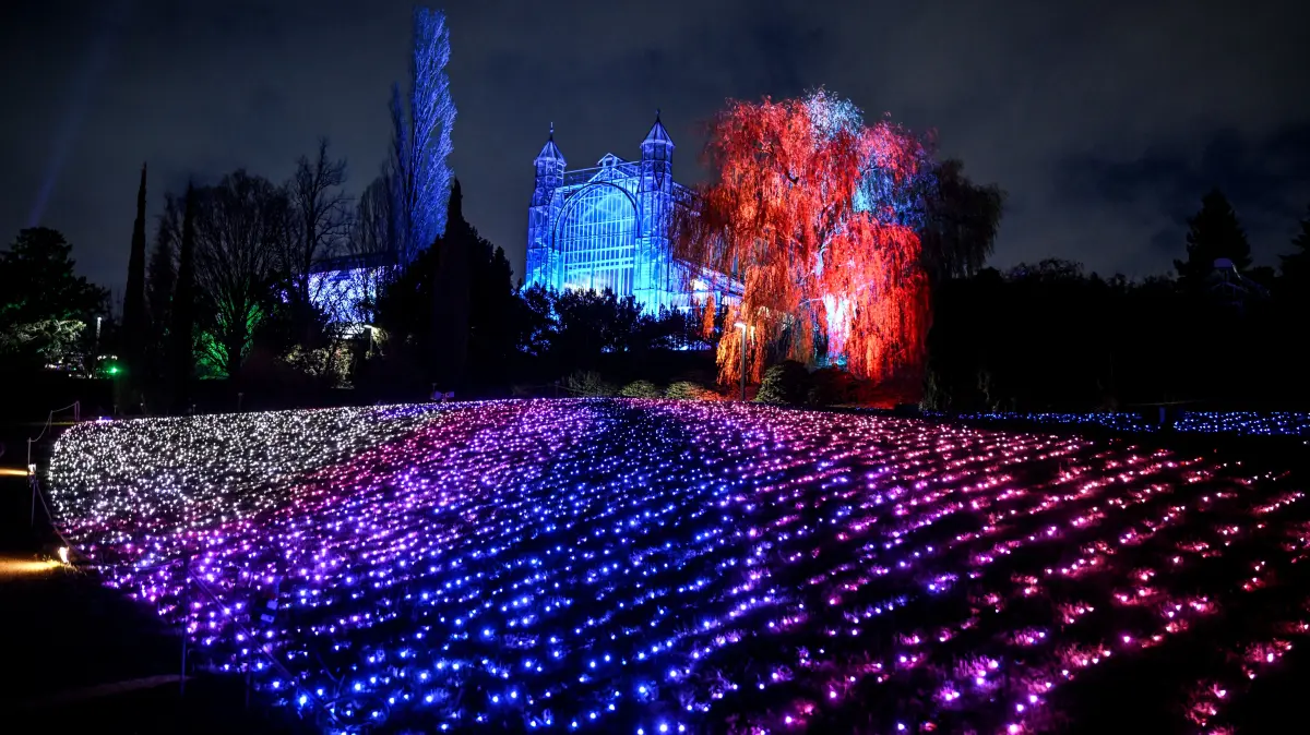 Das Lichtermehr Lichtershows des beleuchteten Weihnachtserlebnisparks besucht werden. (zu dpa: «Botanischer Garten erleuchtet weihnachtlich») +++ dpa-Bildfunk +++