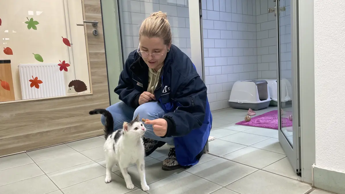 Kurz nachdem Amy ins Tierheim Märkisch Buchholz kam, wäre eine so relativ entspanntes Anbieten von Futter durch Denise Möbius nicht möglich gewesen.