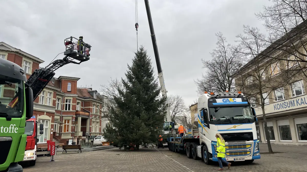 Weihnachtsbaum