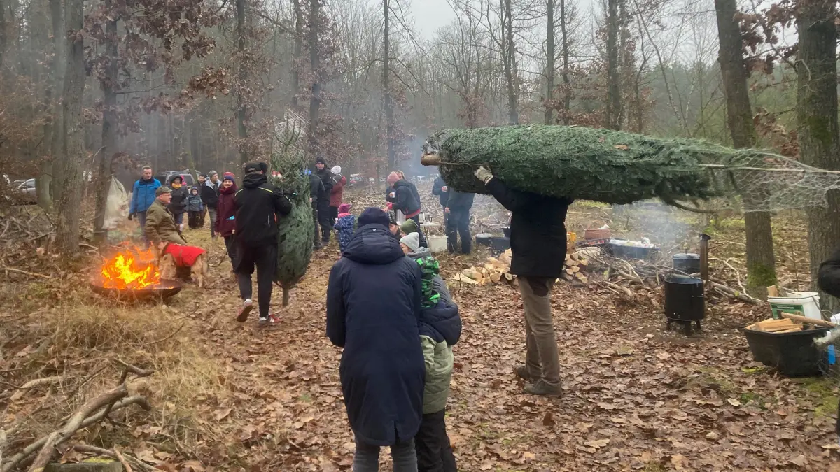 Familienevent mit Lagerfeuer: Weihnachtsbaumernte der Forstbetriebsgemeinschaft Biesdorf im Wald bei Prötzel im Dezember 2024.