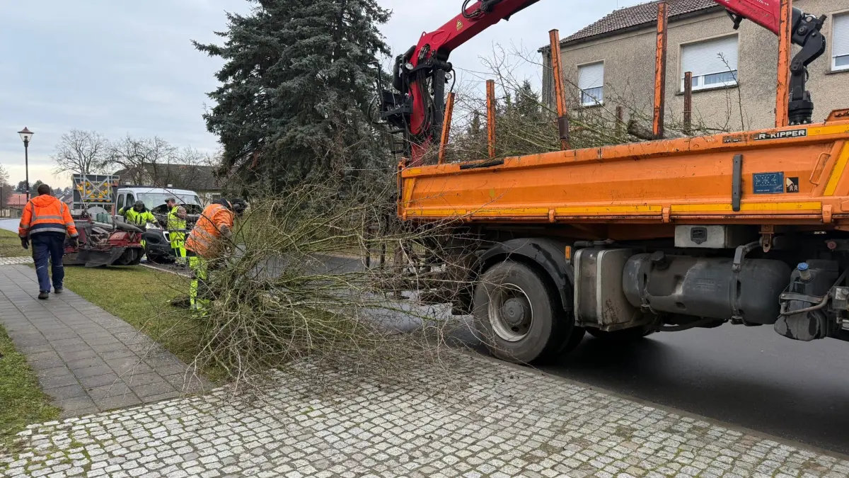 Keine zwei Stunden hat es gedauert, da waren die Bäume in Reichenwalde gefällt. Anwohner sind schockiert.