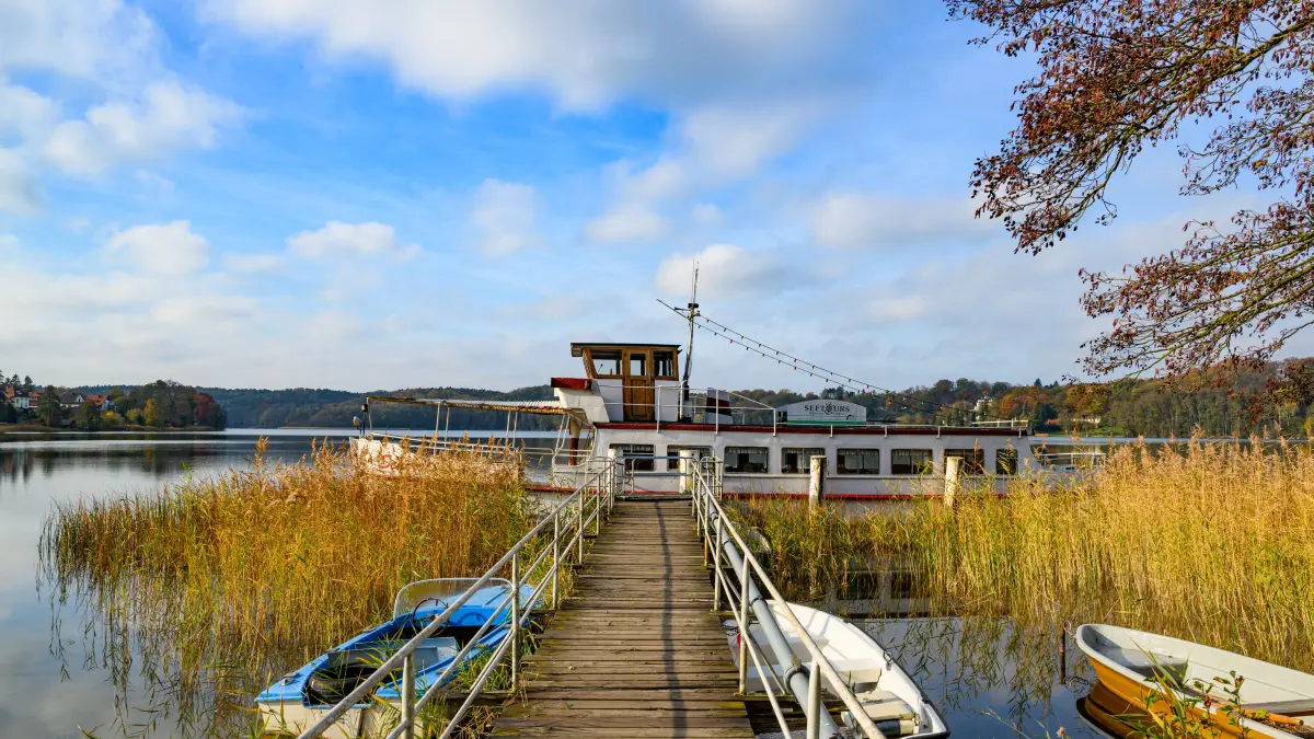 Diese Mini-Kleinstadt in Brandenburg wird bei Google am häufigsten gesucht, wenn man die Suchanfragen mit den Einwohnenden ins Verhältnis setzt. Auch andere Städte punkten beim Brandenburger Städte-Ranking 2025.