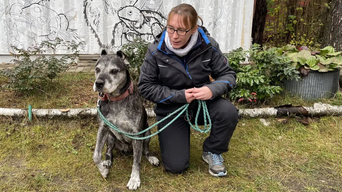 Für die Zukunft wünscht sich Presa Canario Hündin Edna ebenso wie Maria Schwarz und das Pflegerteam in Märkisch Buchholz einen schönen Lebensabend.