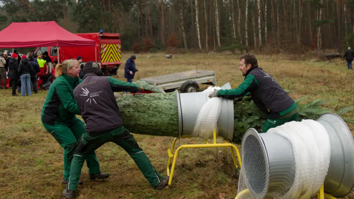 Weihnachtsbaum_Treppelpflaster_Tim_Elsholz.jpg