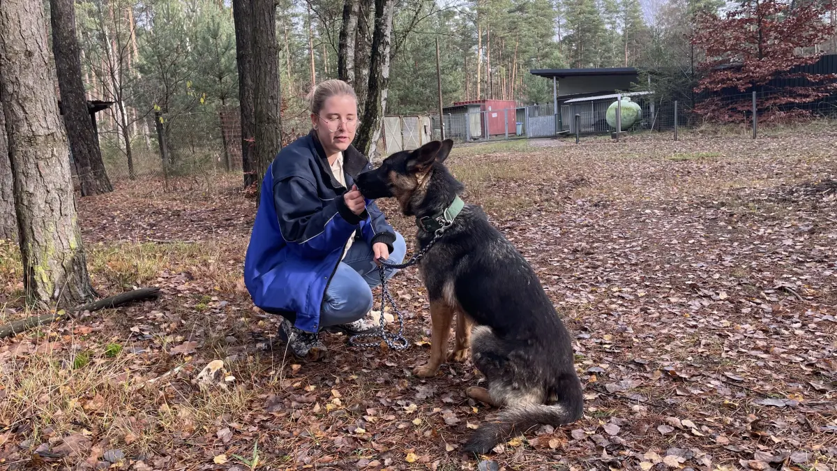 Die volle Aufmerksamkeit der halbstarken Schäferhündin Nelly hat Denise Möbius natürlich mit einem Leckerli in der Hand.