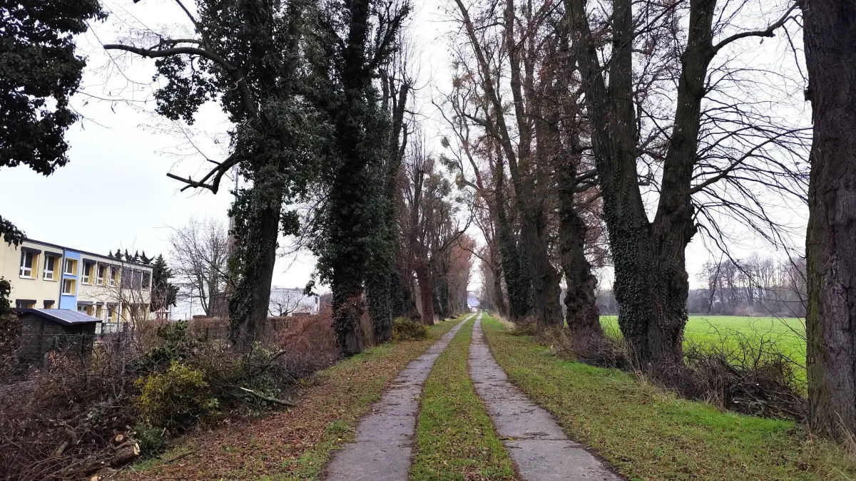 Dieser schmale Plattenweg zum Gusower Badesee als Einbahnstraße zu öffnen abgelehnt. Links das Kita-Gebäude. Für die Kinder würde es eine erhebliche Belastung mit Abgasen bedeuten. Ihr Spazierweg wäre zudem plötzlich Fahrbahn.