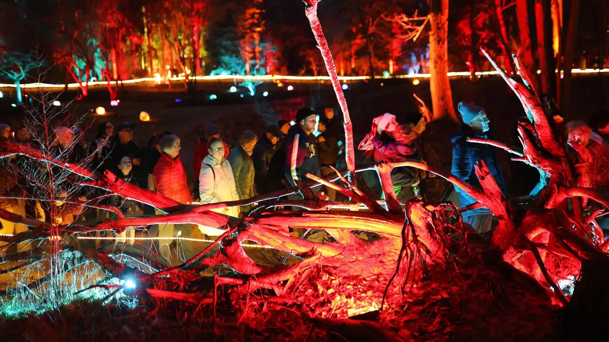 Waldweihnacht der Stiftung Waldwelten im Forstbotanischen Garten in Eberswalde am 13.12.2025