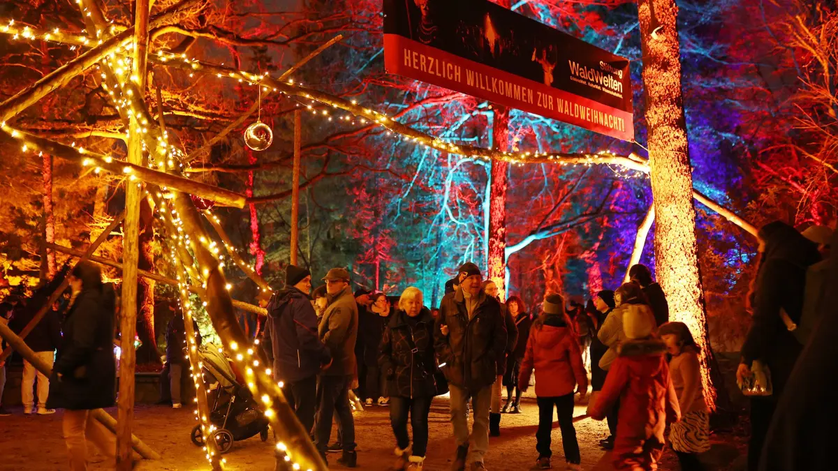 Waldweihnacht der Stiftung Waldwelten im Forstbotanischen Garten in Eberswalde am 13.12.2025