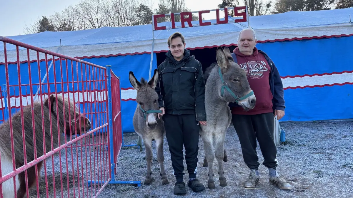 Der 17-jährige Molatscho und sein Vater Marcus Ortmann mit den Eseln Maxe und Kalle auf dem Stellplatz für den Winter in Eggersdorf: Zwar gelten die Tiere als genügsam, fressen jedoch täglich Heu und Stroh.