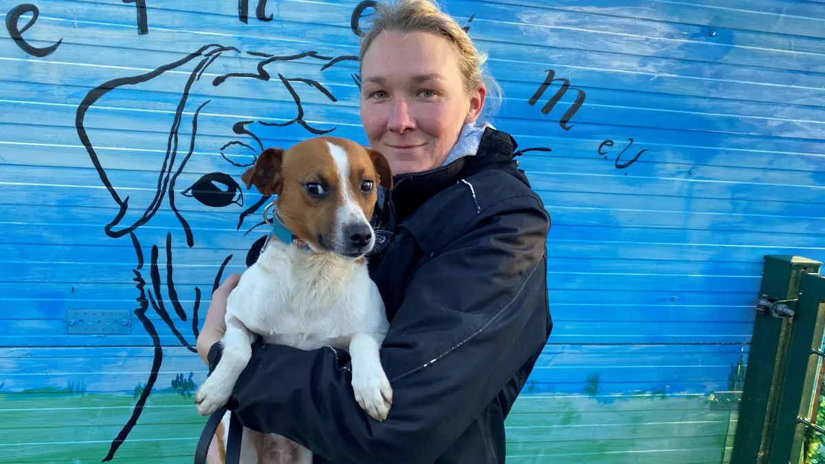 Hört auf den Namen Kevin: dieser Terrier-Mischling. Tierheimmitarbeiterin Kathleen Bonack hält ihn auf dem Arm.