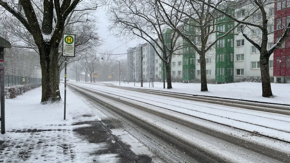 Anwohner von Frankfurt (Oder) haben Beschwerden, die sie fleißig auf dem Hinweisportal der Stadt kundtun. Warum sich ein Student Zebrastreifen wünscht.