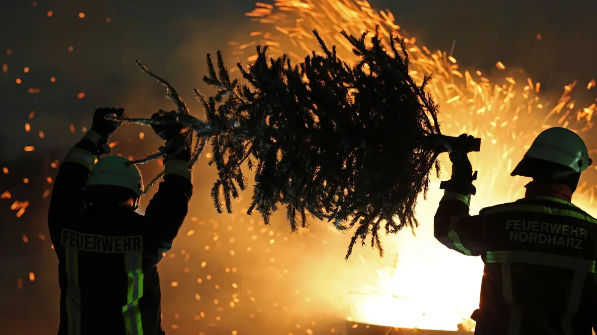 Weihnachtsbäume brennen in einer Feuerschale zum Knutfest in der Gemeinde Stapelburg. Die Freiwillige Feuerwehr hat zum traditionellen Knutfest mehrere Hundert Weihnachtsbäume gesammelt und auf einem Dorffest in einer Feuerschale verbrannt. Die Tradition, Weihnachtsbäume einzusammeln und bei einem Fest zu verbrennen stammt ursprünglich aus Schweden. Dort wird das Knutfest alljährlich am 13. Januar gefeiert. Seit einigen Jahren breitet sich der kuriose Brauch auch in vielen Regionen Deutschlands aus. +++ dpa-Bildfunk +++