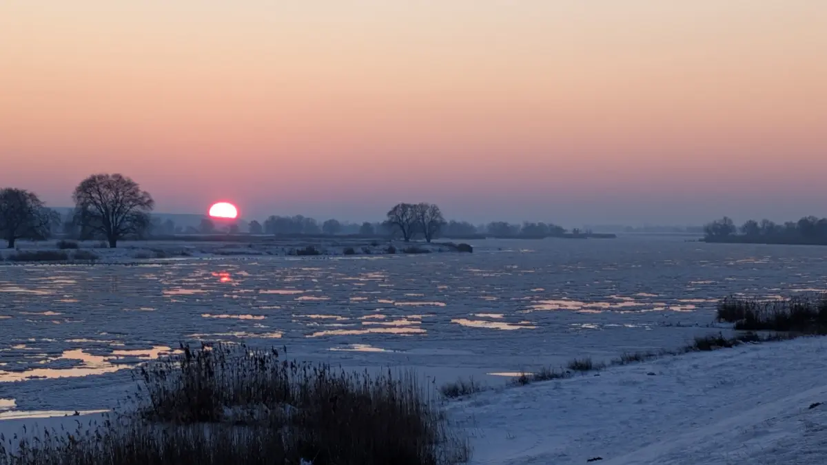 Eisgang auf der Oder: Der Fluss führt im Bereich des Oderbruchs zwar noch kein Hochwasser. Aber das Eis kann in den kommenden Tagen zum Stehen kommen. Dann kann es rasch gefährlch werden.