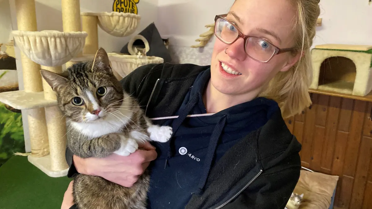 Verstehen sich sehr gut: der etwa dreijährige Kater Tigerchen und Tierheimmitarbeiterin Jennifer Neudeck i
