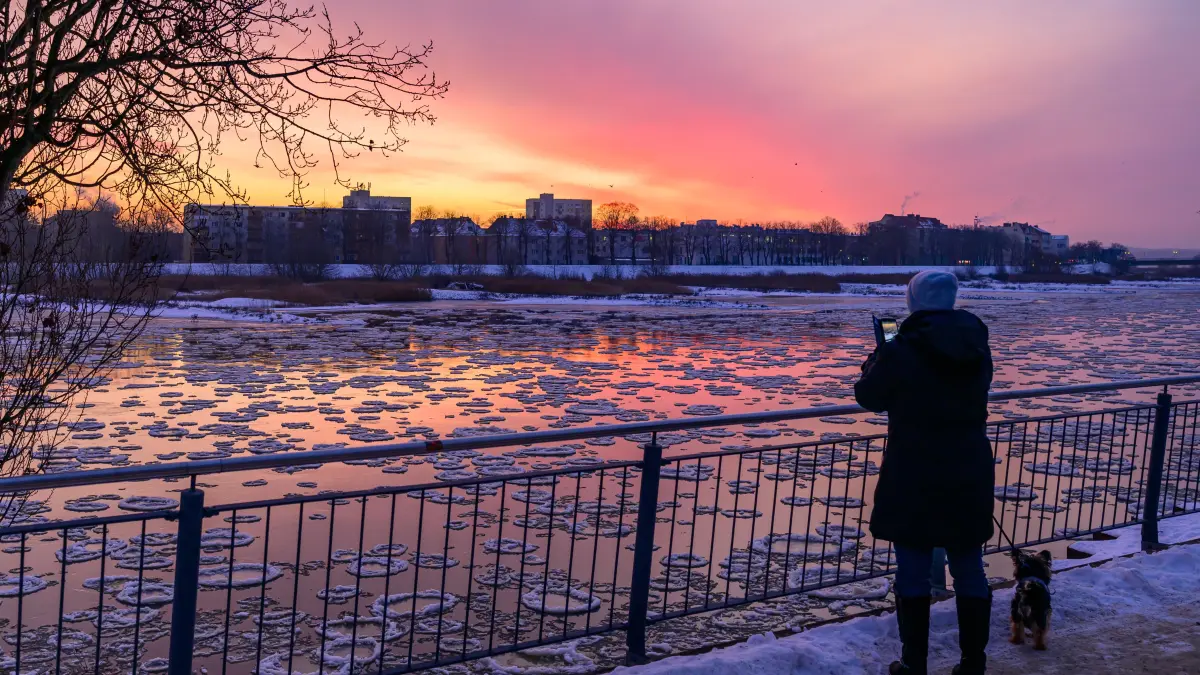 Eisschollen, sogenannte Brieger Gänse, treiben am frühen Morgen stromabwärts auf dem deutsch-polnischen Grenzfluss Oder. Die Bezeichnung steht für die runden Eisschollen mit gekräuseltem Rand, die in der Umgebung der Stadt Brieg (Brzeg) verwandt wurde. Im Volksmund werden diese Eisschollen wegen ihrer Form auch Pfannkuchen-Eisschollen genannt. +++ dpa-Bildfunk +++
