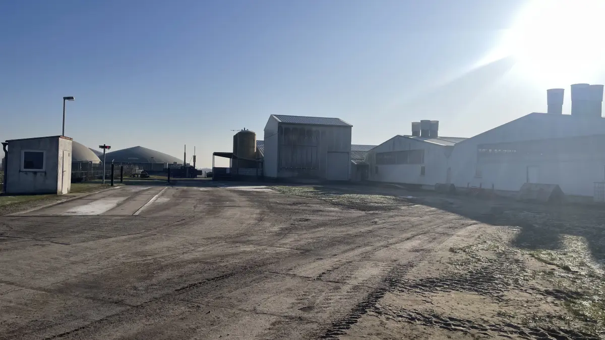 Schweinezuchtanlage Blumberg GmbH in Blumberg, Casekow soll vergrößert und modernisiert werden. Landwirt Joep Derks plant das bereits seit rund 10 Jahren,.