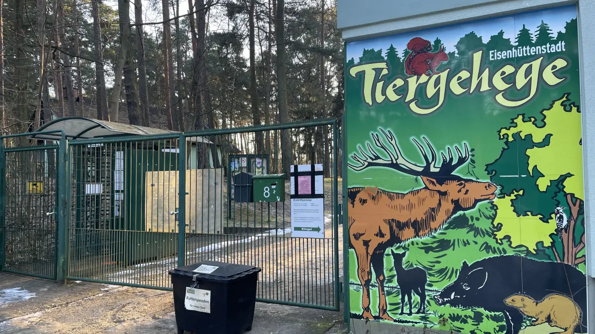 Das Tiergehege auf der Insel in Eisenhüttenstadt ist derzeit bis März ohnehin geschlossen. Doch unabhängig davon beginnt eine Diskussion, ob sich die Stadt die Einrichtung noch leisten kann.