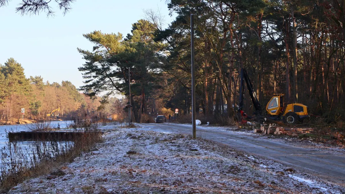 Beginn der Abholzungen am Oder-Havel-Kanal bei Eberswalde. Sie sind ein Zeichen dafür, dass es hier zu größeren Baumaßnahmen kommt.