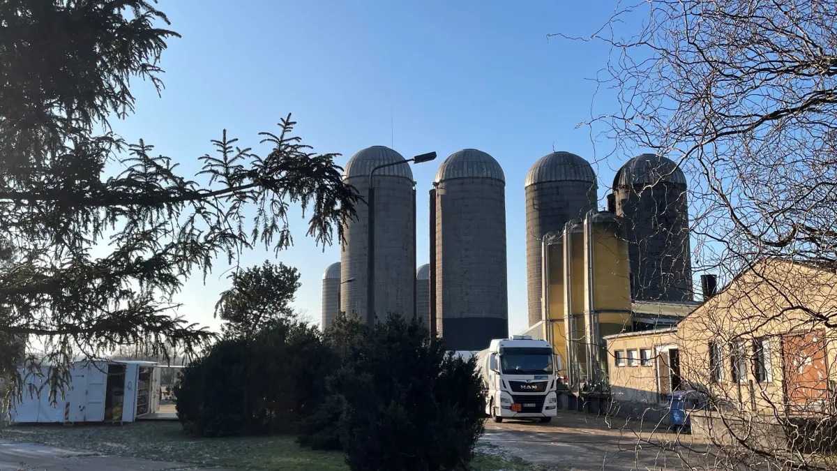 Erneuter Fall: Bei einem Betrieb bei Seelow mit mehr als 18.000 Puten wurden die Proben untersucht. Die Tiere werden am 21. Januar getötet. Vor fast genau vier Jahren hatte es dort bereits einen Vogelgrippe-Fall gegeben.