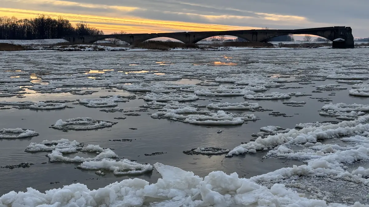 Schönes Naturschauspiel: Auch bei Eisenhüttenstadt sind die "Brieger Gänse" zu sehen, der Grenzfluss friert immer mehr zu. Das kann zum Problem werden.