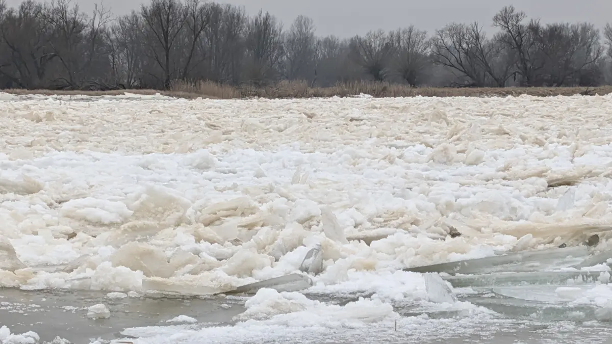 Eisschollen stauen sich: Nördlich von Küstrin (Kostrzyn), am Zusammenfluss von Warthe und Oder, haben sich die Schollen zu Hügeln aufgeschoben. Die Situation wird von den polnischen und deutschen Fachleuten genau beobachtet.